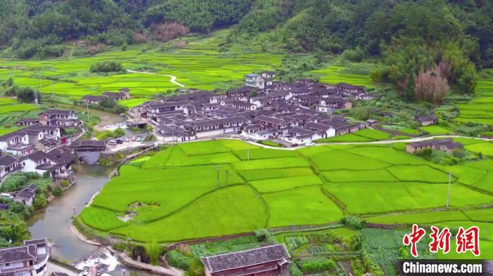 “河长”绘出闽西乡村新画卷：水清河美宜居宜游