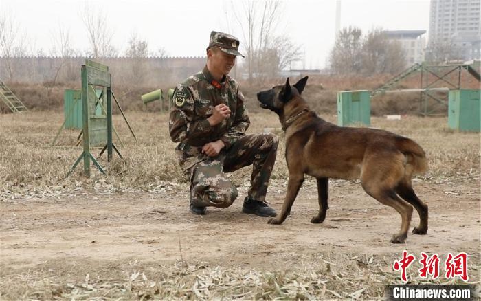 侯朋正在和他的警犬互动。　谢强 摄