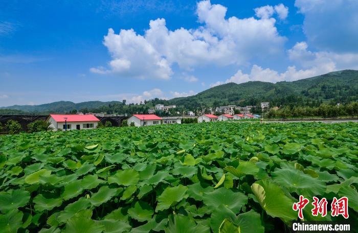 资料图：贵州织金县美丽乡村。　陈德彬 摄