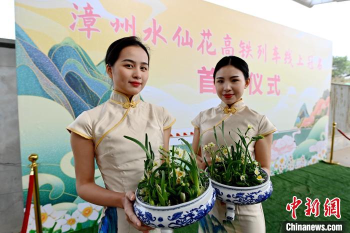 礼仪小姐展示漳州水仙花。　张金川 摄