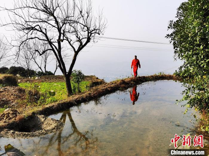 一个月走坏一双鞋管道巡护员跋山涉水守护天然气“生命线”