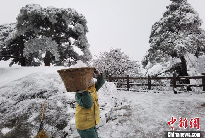 29日凌晨4时，黄山风景区152名在岗环卫工全体到岗参与铲冰扫雪工作，重点确保景区游步道通畅 张涛 摄