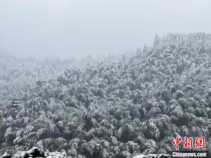 安徽未来十天部分地区有三次雨雪过程局部暴雪