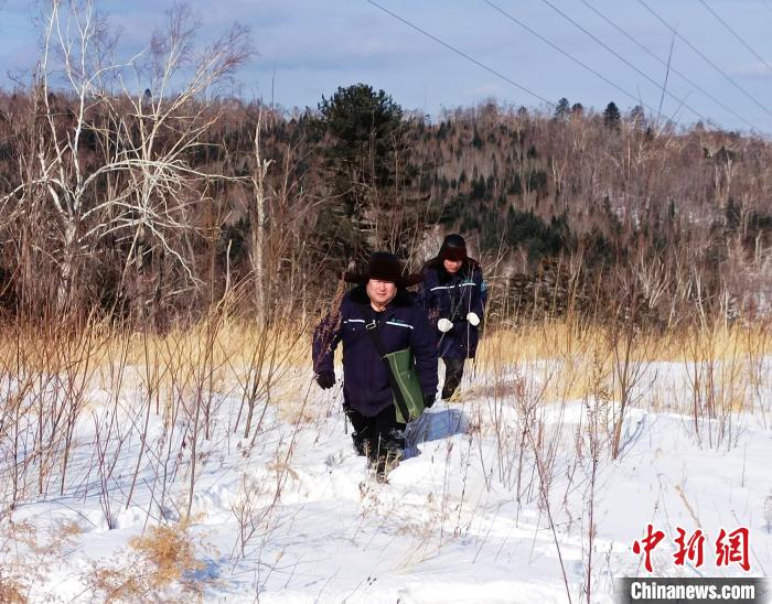 电力巡线工“偏向虎山行”