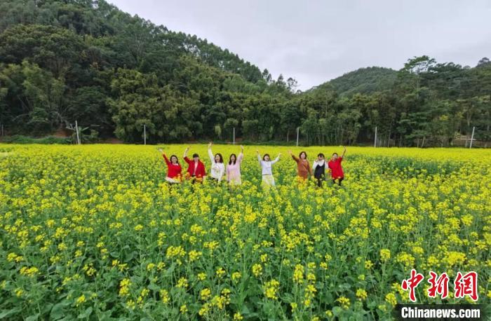 游客在油菜花海里游览 增城区委宣传部 供图