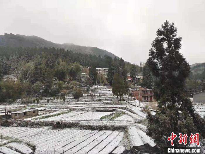 福建多地迎虎年首雪南方民众掀“逐雪热”