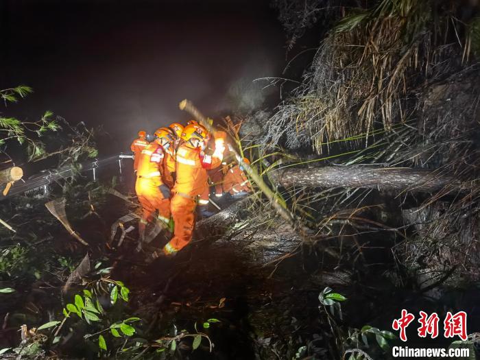 图为消防员正在合力搬开阻挡道路的倒木。　杨书勤 　摄