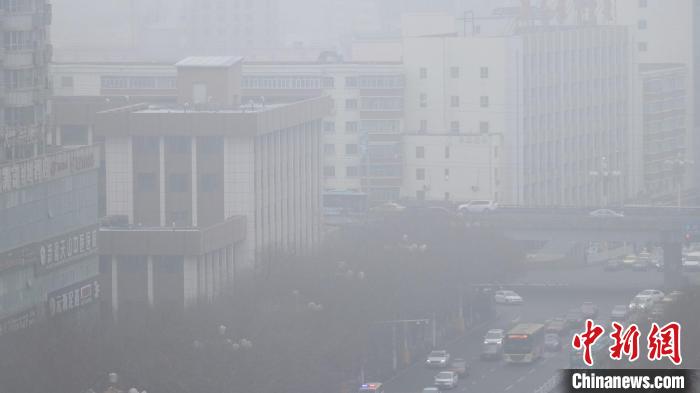 6日，乌鲁木齐城南西虹路出现大雾天气，导致市区车辆行驶缓慢。　王小军 摄