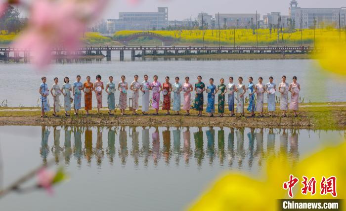 四川一高校老师油菜花海秀旗袍。　天府新区航空旅游职业学院供图