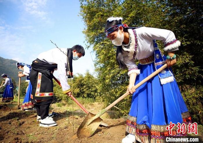 四川阿坝学子在浙江瑞安植树。　王志 摄