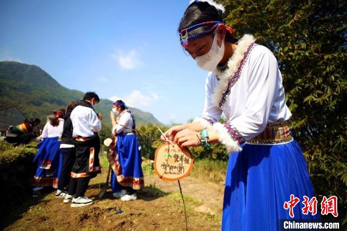 四川阿坝学子在浙江瑞安植树，并悬挂“同心树”牌。　王志 摄