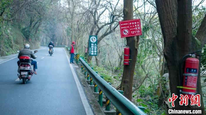 七星山公路两旁“长”在树上的灭火器。　刘忠俊 摄