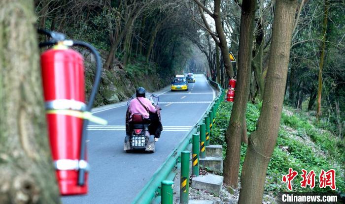 公路沿线树上悬挂的灭火器。　刘忠俊 摄