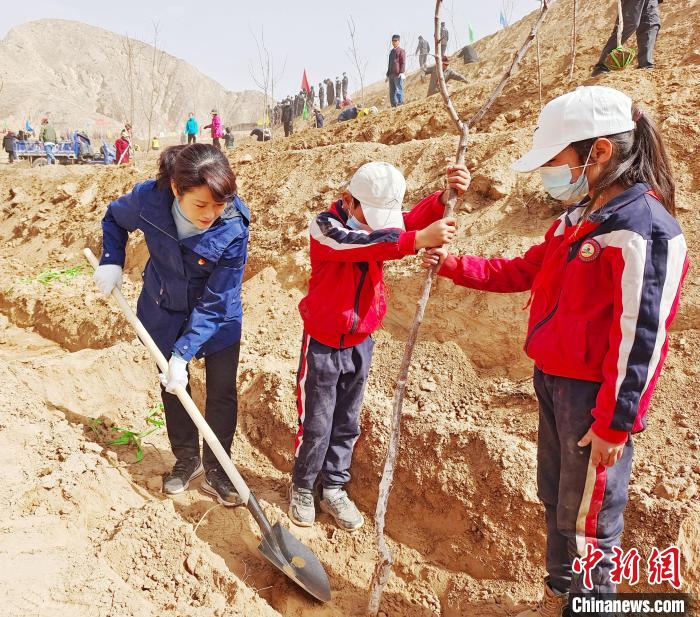 高原藏乡青海尖扎黄河流域绿化见闻：力求荒山变绿洲