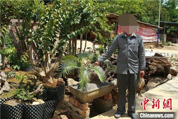 广西崇左警方破获两起特大危害国家重点保护植物案