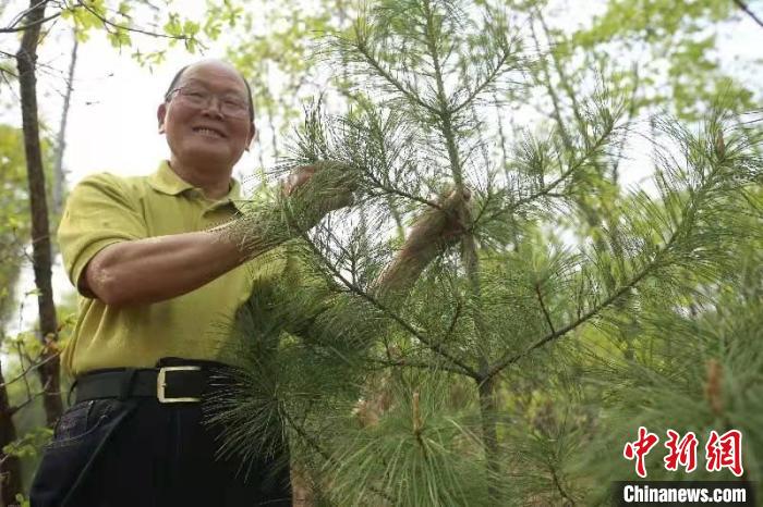 图为李振海精心呵护小树苗。(资料图) 蒋希武 摄