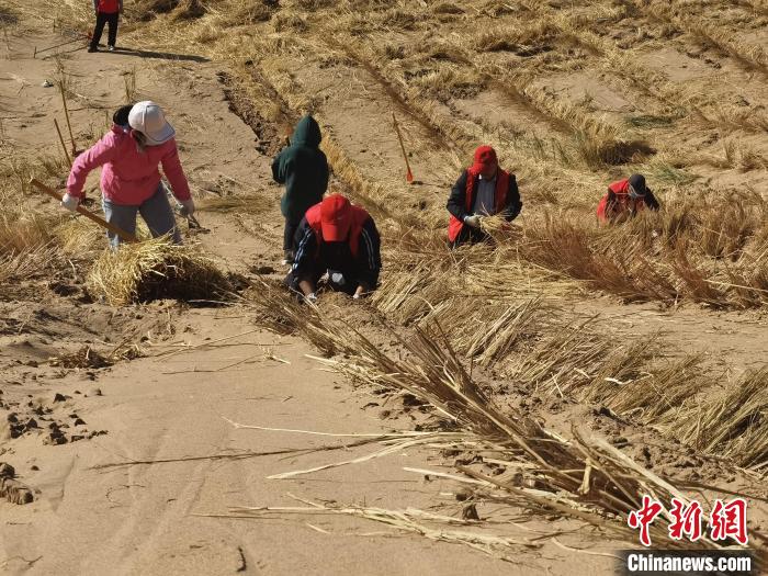 甘肃鼓励人才下基层为艰苦边远地区专业技术人才单列岗位