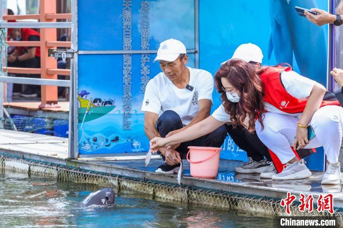 国际生物多样性日将至世界自然基金会等举办活动保护水中“微笑天使”