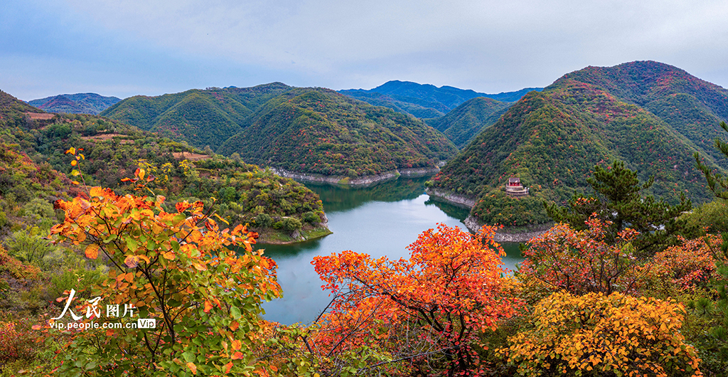 山西平陆：大河庙水库秋意渐浓