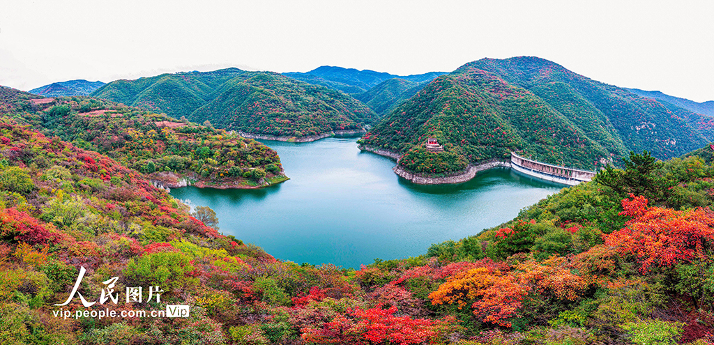 山西平陆：大河庙水库秋意渐浓【2】