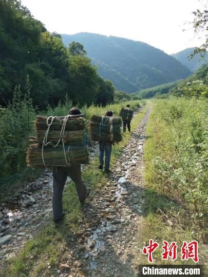 图为甘肃省天水市秦州区关峡村竹编手艺人，取材后返回家中。(资料图) 甘肃省非遗保护中心供图