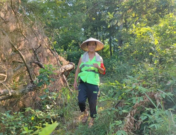 炎热干燥时节，正在巡山的聂久均。贵州林业局供图