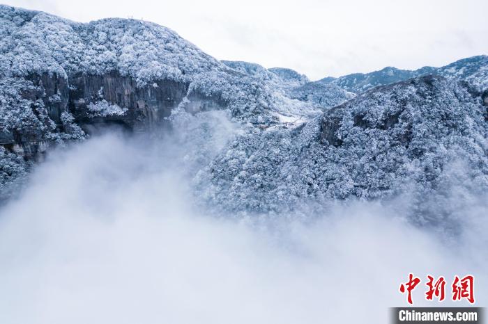 金佛山景区银装素裹。　罗川 　摄