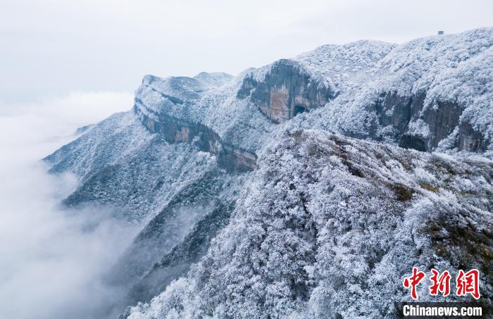 金佛山景区银装素裹。　罗川 　摄