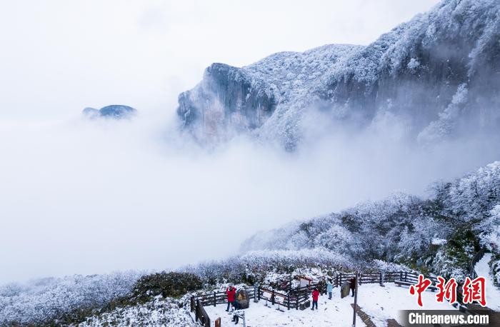 金佛山景区银装素裹。　罗川 　摄