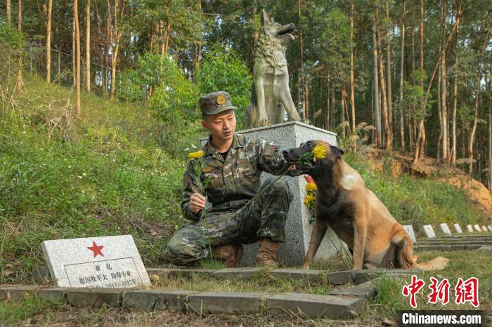 武警官兵携警犬向“无言战友”献花。　刘明 摄