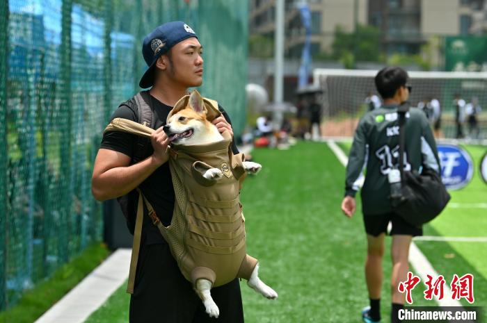 图为一位市民携宠物犬观赛。　俞靖 摄